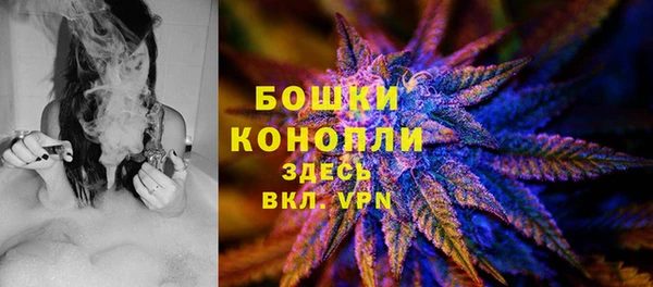 метадон Белокуриха