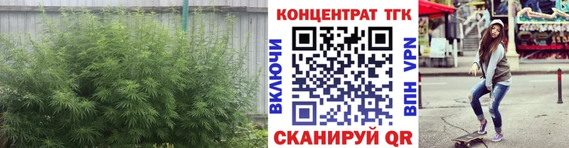 Дистиллят ТГК концентрат  цены наркотик  мега вход  Горно-Алтайск 