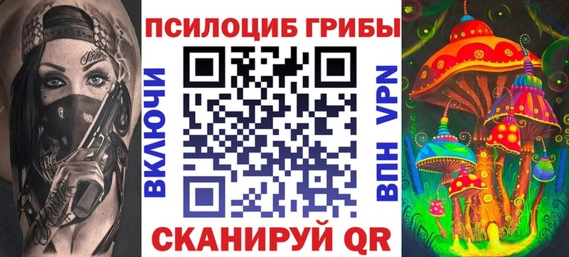 купить  цена  блэк спрут онион  Галлюциногенные грибы MAGIC MUSHROOMS  Горно-Алтайск 