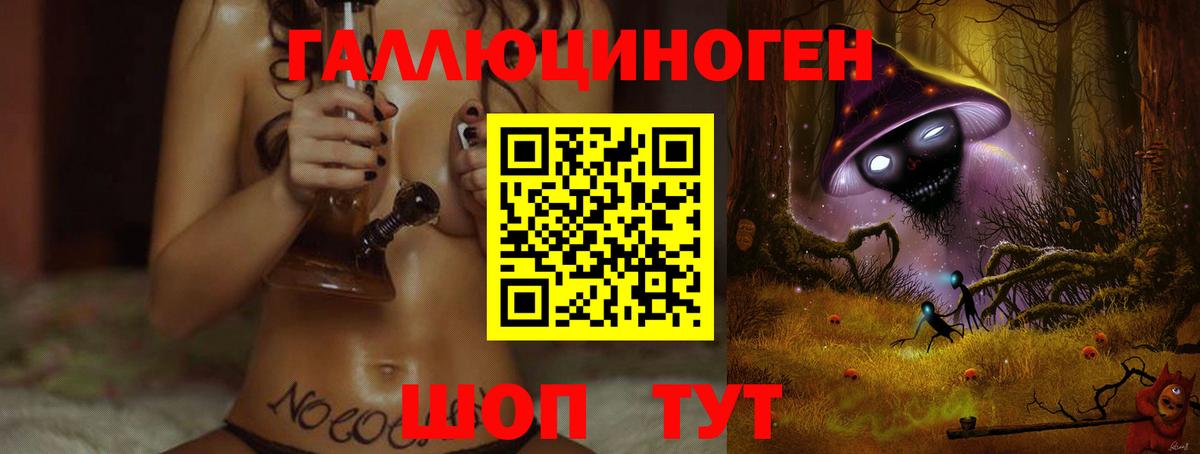 Псилоцибиновые грибы мицелий Горно-Алтайск